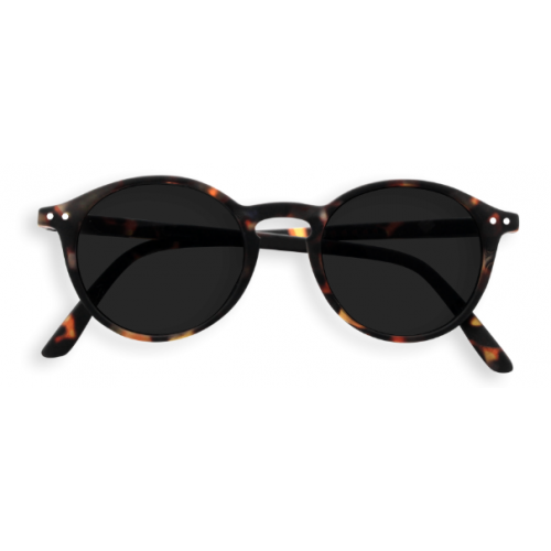 #D Sun Tortoise