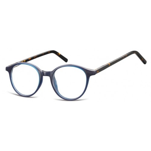 AC 23G  BLUE - TURTLE